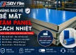 màng bảo vệ bề mặt tấm panel cách nhiệt Sao Bách Việt