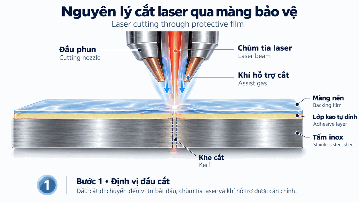 Màng bảo vệ bề mặt